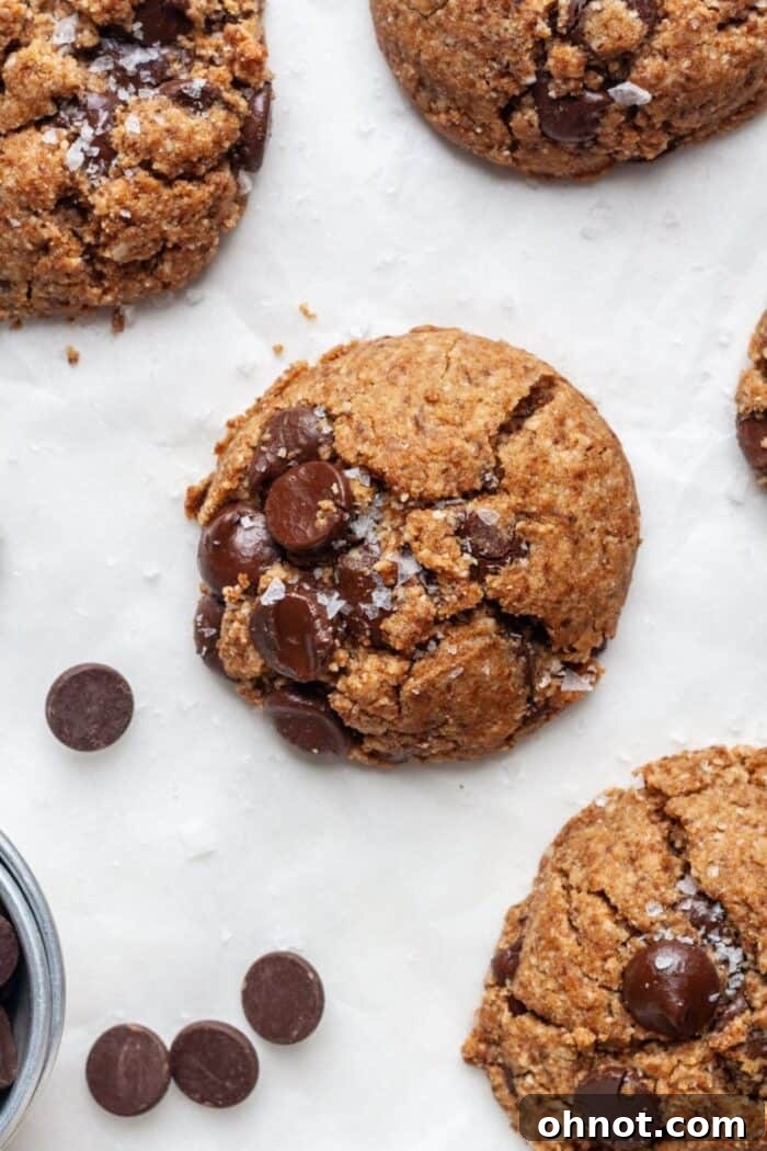 Freshly baked vegan chocolate chip cookies topped with sea salt, ready to be enjoyed