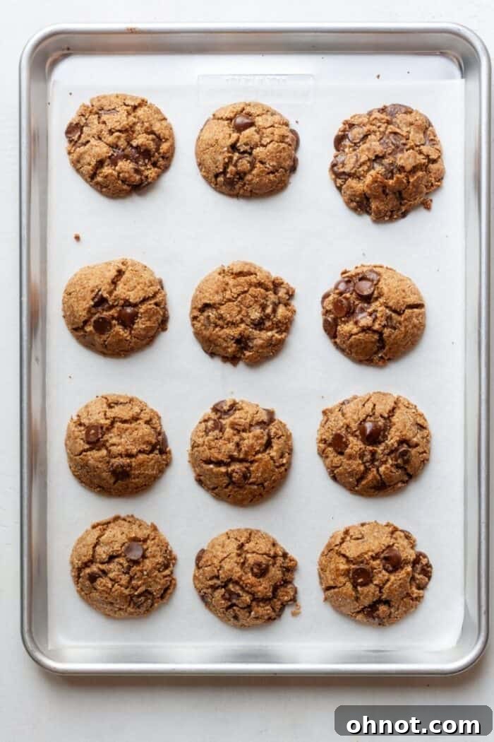 Freshly baked vegan cookies with melted chocolate chips, cooling on a baking sheet