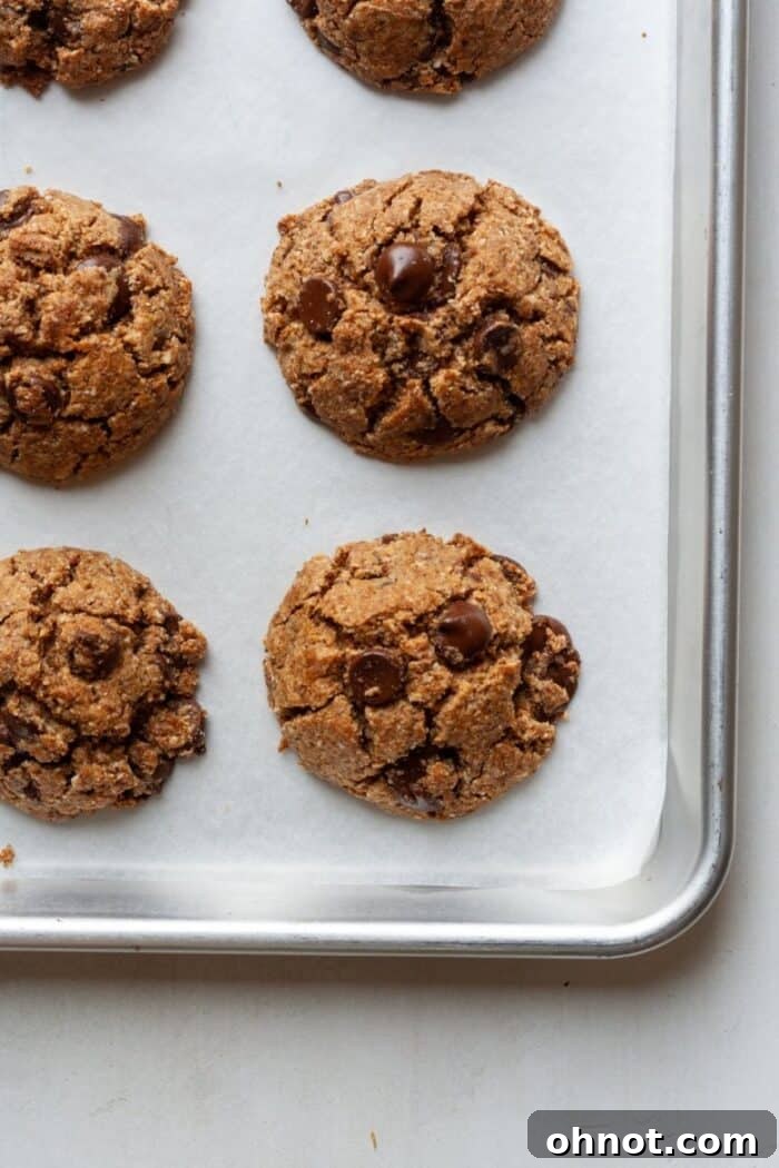 A batch of paleo vegan cookies cooling on a wire rack, sprinkled with sea salt