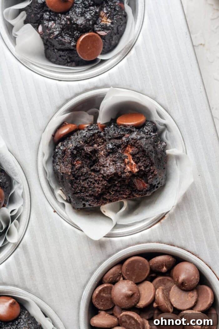 A close-up shot of a grain-free chocolate zucchini muffin, perfectly baked with visible chocolate chips and a soft, inviting texture.