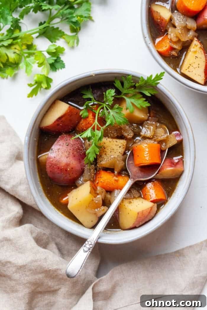 Vegan veggie stew