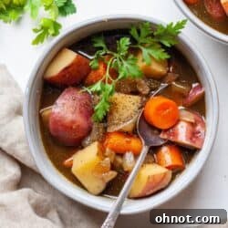 Vegetarian beef stew in bowl with spoon