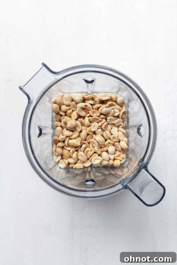 Dry roasted peanuts being poured into a Vitamix blender container, ready for processing.