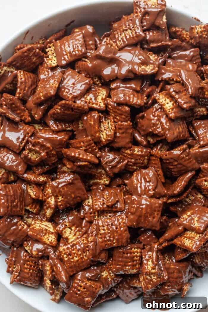 Chocolate-coated cereal in a bowl, showing an even and complete coverage.