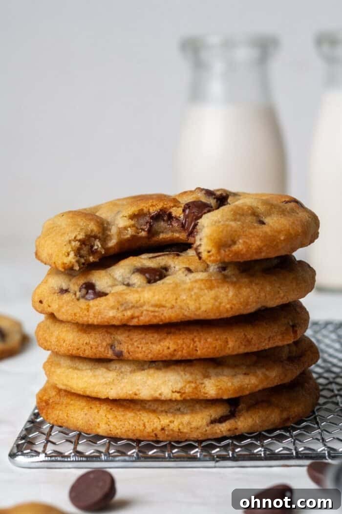 Irresistible dairy-free chocolate chip cookies, perfectly baked.