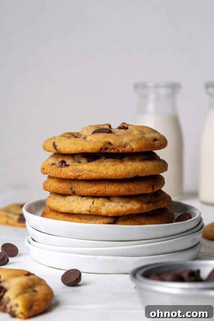 Freshly baked dairy-free cookies loaded with chocolate chips.