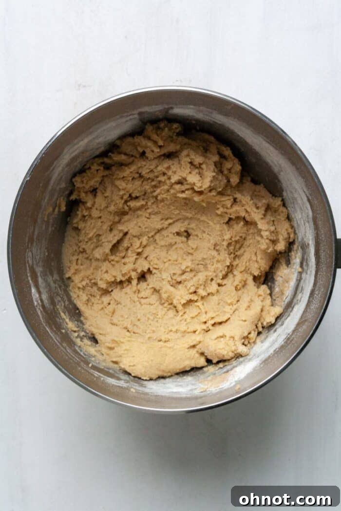 Dough with dry ingredients mixed in.