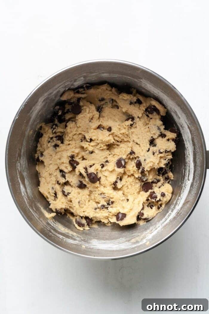 Cookie dough with chocolate chips ready for chilling.