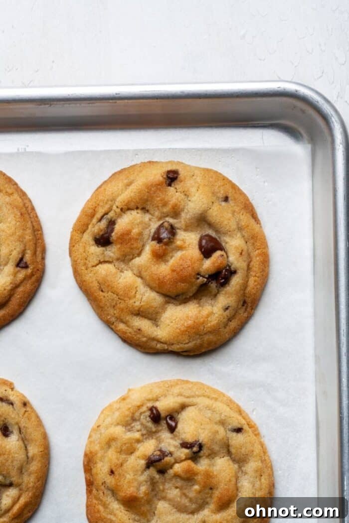 Crispy golden chocolate chip cookies fresh out of the oven.
