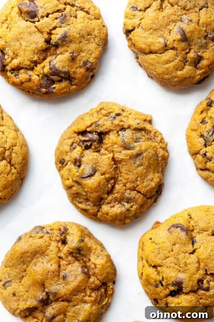 Delicious Gluten Free Pumpkin Chocolate Chip Cookies on parchment paper, ready to be enjoyed.