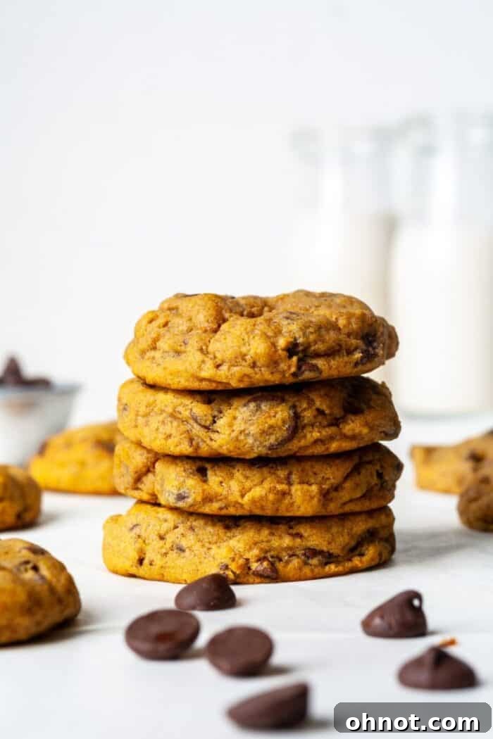 Pumpkin cookies adorned with vegan chocolate chips, a close-up of pure deliciousness.