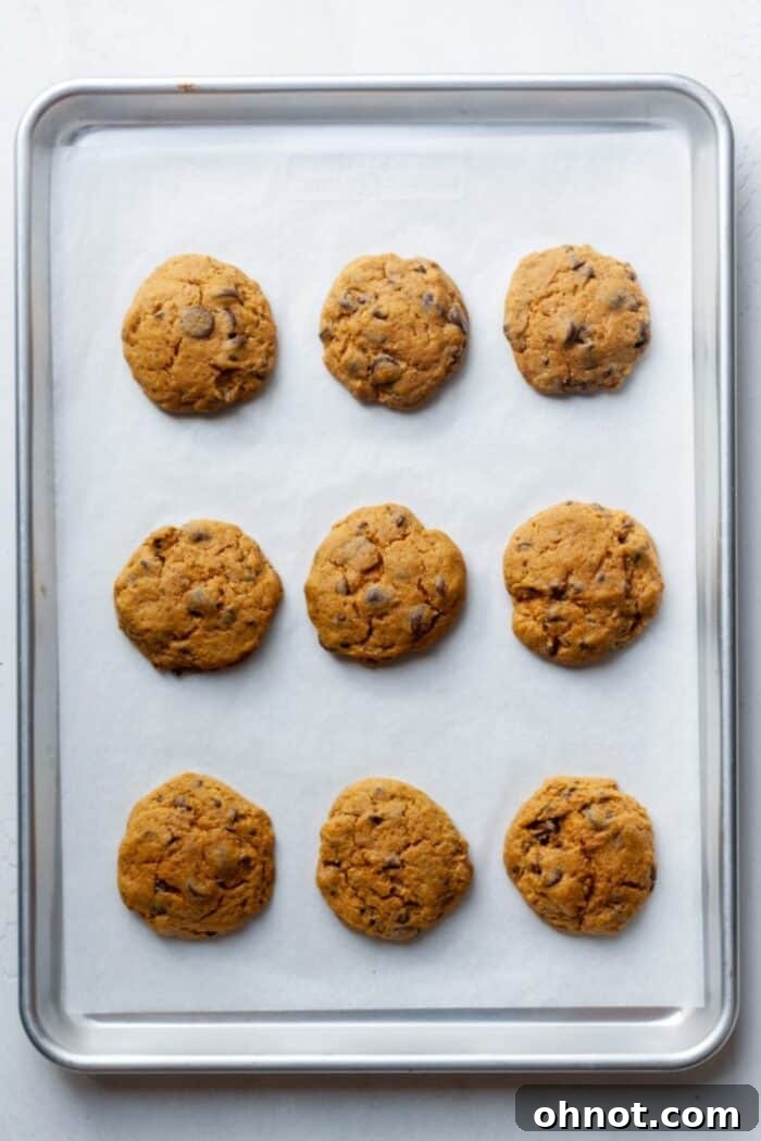 Freshly baked eggless pumpkin cookies cooling on a baking pan.