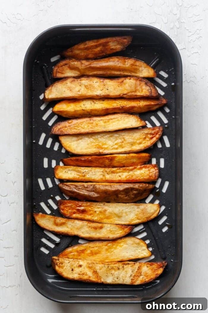 Crispy air fried French fries in the air fryer basket