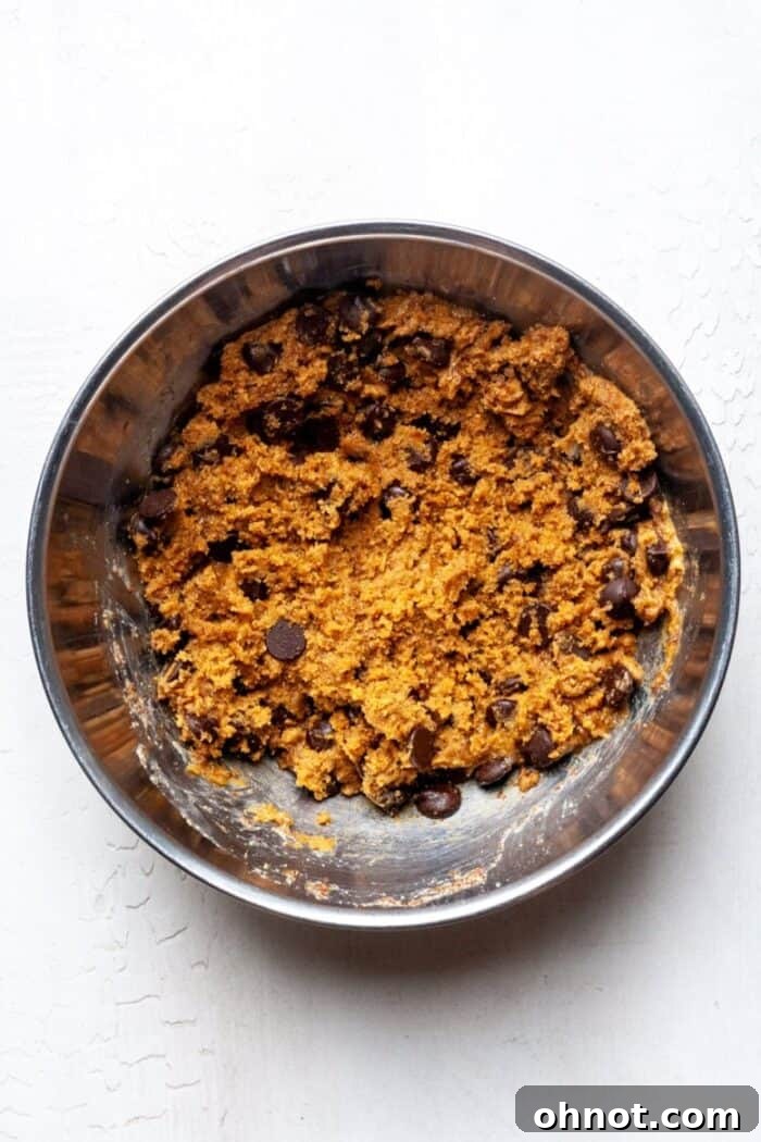 Vegan peanut butter cookie dough with chocolate chips folded in, ready for scooping