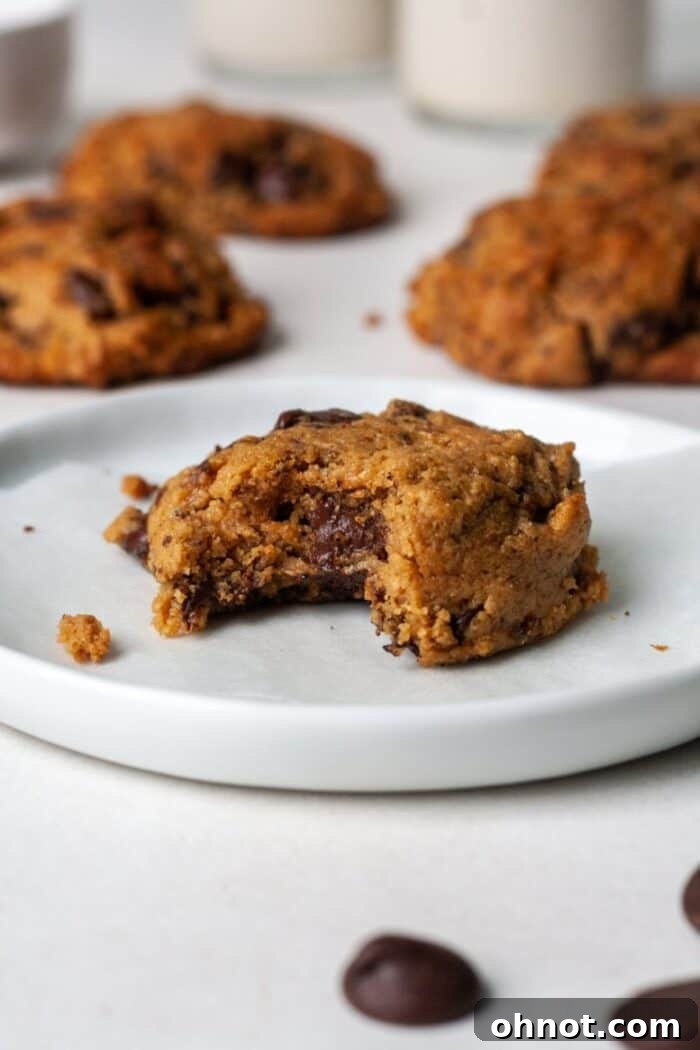 Close-up of freshly baked Vegan chocolate chip cookies with visible peanut butter texture, arranged on a cooling rack
