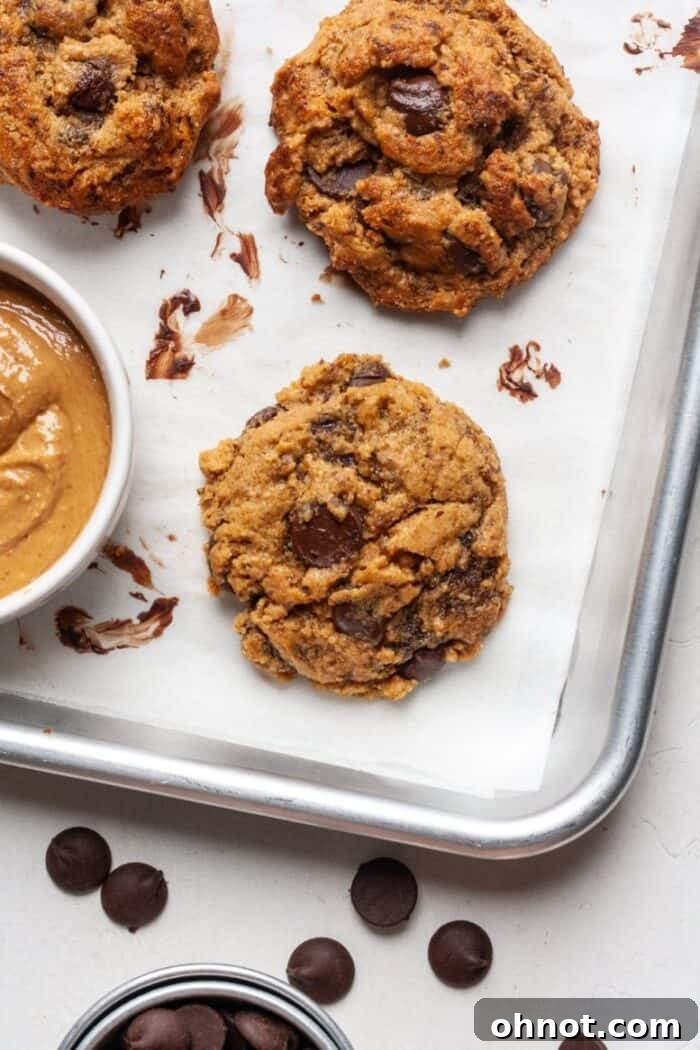 A tray of freshly baked vegan peanut butter chocolate chip cookies, ready to be served