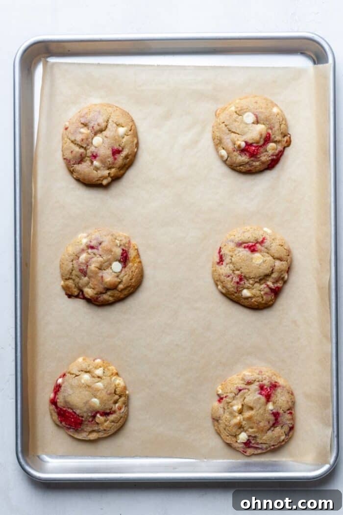 Freshly baked raspberry white chocolate cookies on the baking sheet
