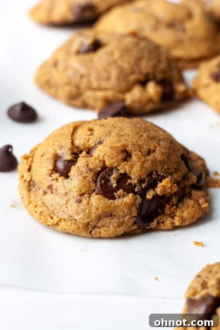 Irresistible Keto Peanut Butter Chocolate Chip Cookies on a cooling rack, showcasing their soft texture and generous chocolate chips.