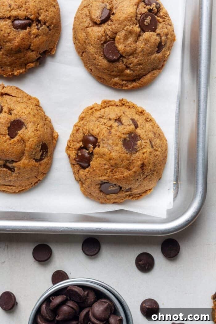 Freshly baked Keto peanut butter chocolate chip cookies cooling on a parchment-lined baking pan.