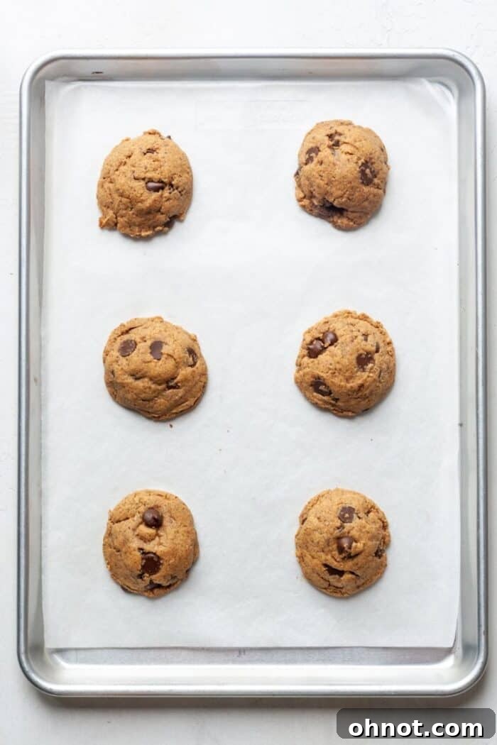Freshly baked Keto cookies on the pan, just out of the oven.