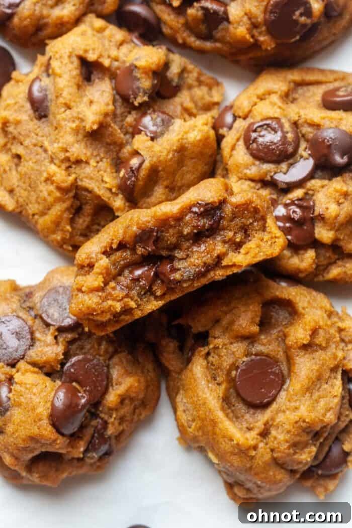 Vegan pumpkin cookies with dark chocolate chips on a pan, highlighting their soft texture.