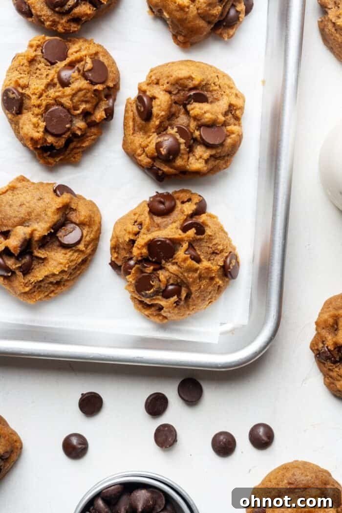 A stack of vegan pumpkin cookies with dark chocolate chips, showcasing their delicious texture.