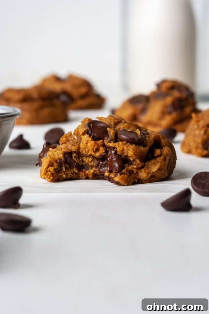 Close-up of baked pumpkin cookies showcasing the dark chocolate chips nestled within.