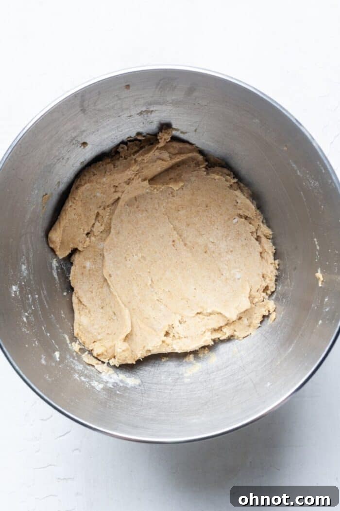 Vegan cookie batter with dry ingredients just mixed in, showing a consistent texture.