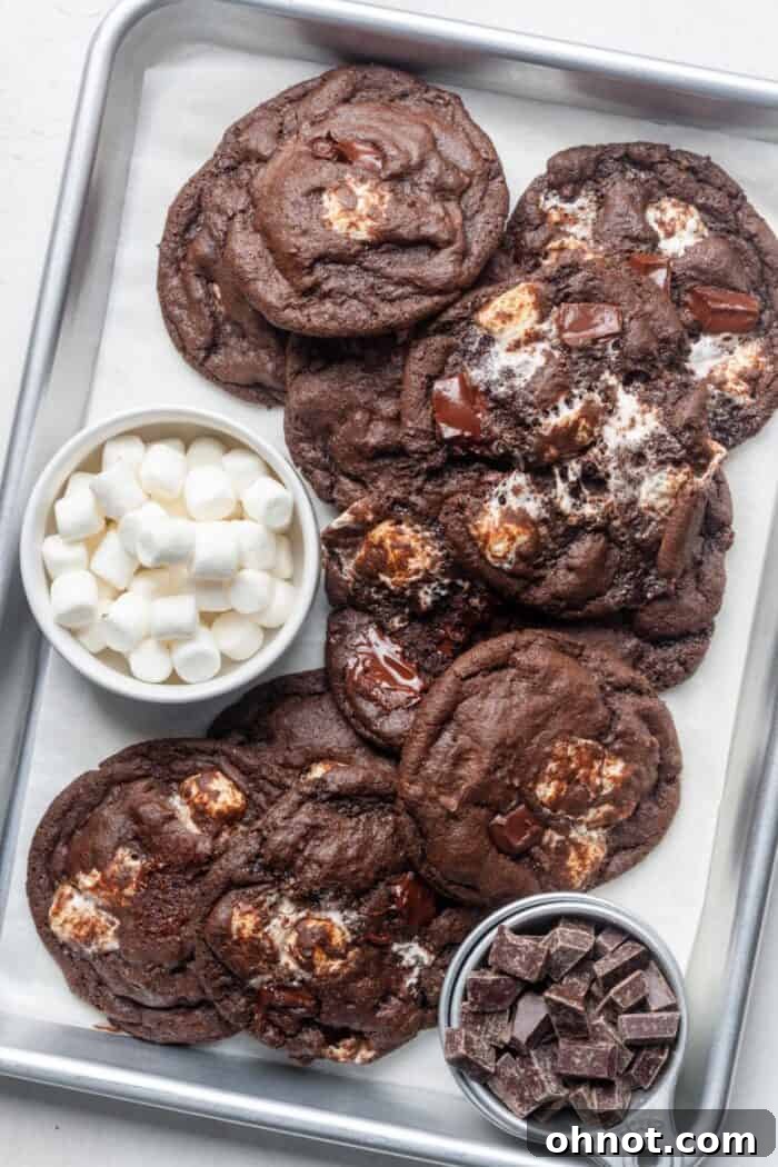 Freshly baked chocolate marshmallow cookies arranged on a baking sheet