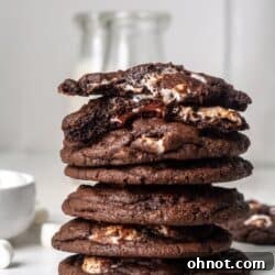 Stack of chocolate marshmallow cookies