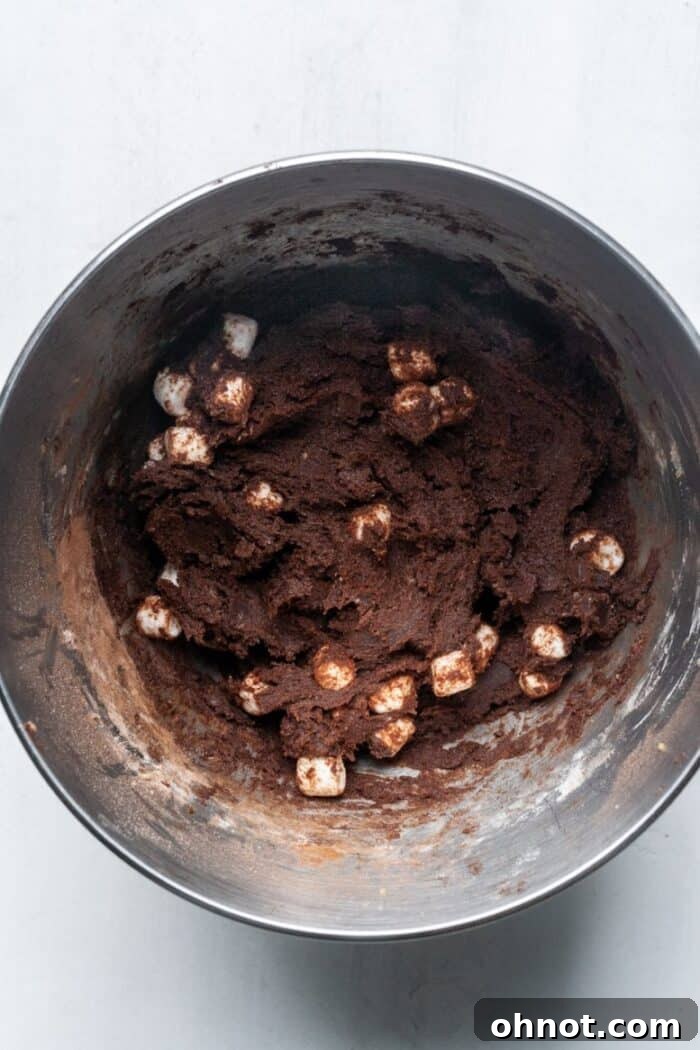 Chocolate cookie dough with chocolate chunks and mini marshmallows mixed in