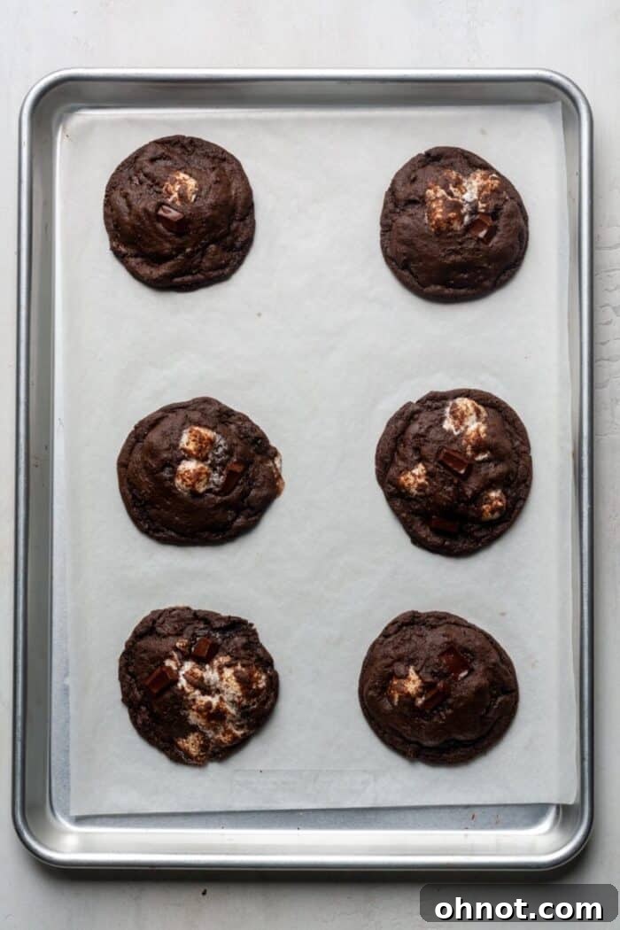 Freshly baked chocolate cookies with melted marshmallows on a baking pan