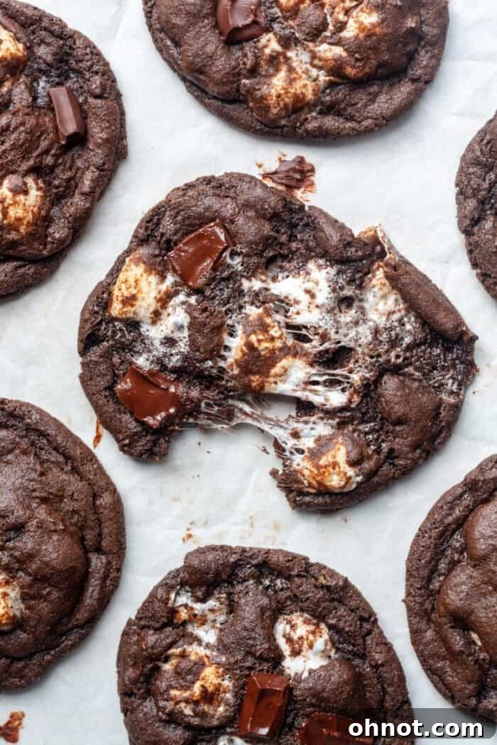 Close-up of baked chocolate marshmallow cookies with soft, melted centers