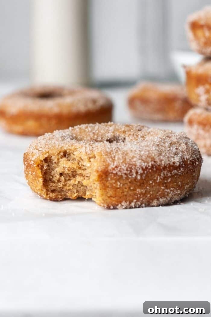 Irresistible gluten-free apple cider donuts with a sweet cinnamon sugar coating, perfect for fall