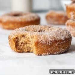 Gluten free apple cider donuts with sugar coating