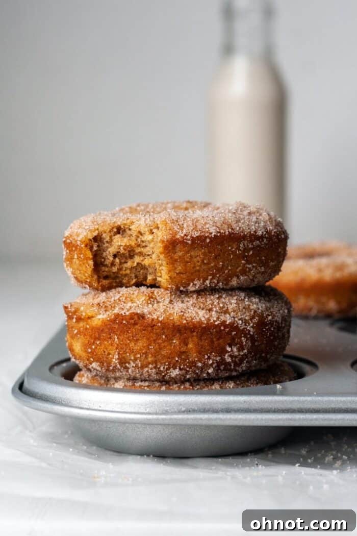 Beautiful stack of fluffy gluten-free apple cider donuts, dusted with cinnamon sugar