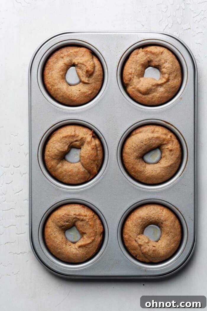 Freshly baked apple cider donuts cooling in their pan after being removed from the oven