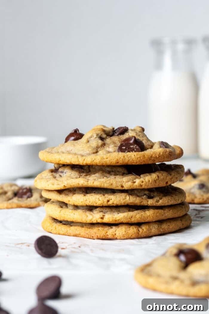 Stack of oat cookies