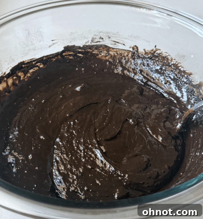 Dark cocoa brownie batter. A close-up of the rich, dark brownie batter being mixed in a bowl, showcasing its thick, glossy texture and the deep color from the cocoa.