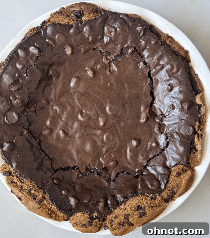 Close-up of the perfectly pressed cookie crust in a pie plate.