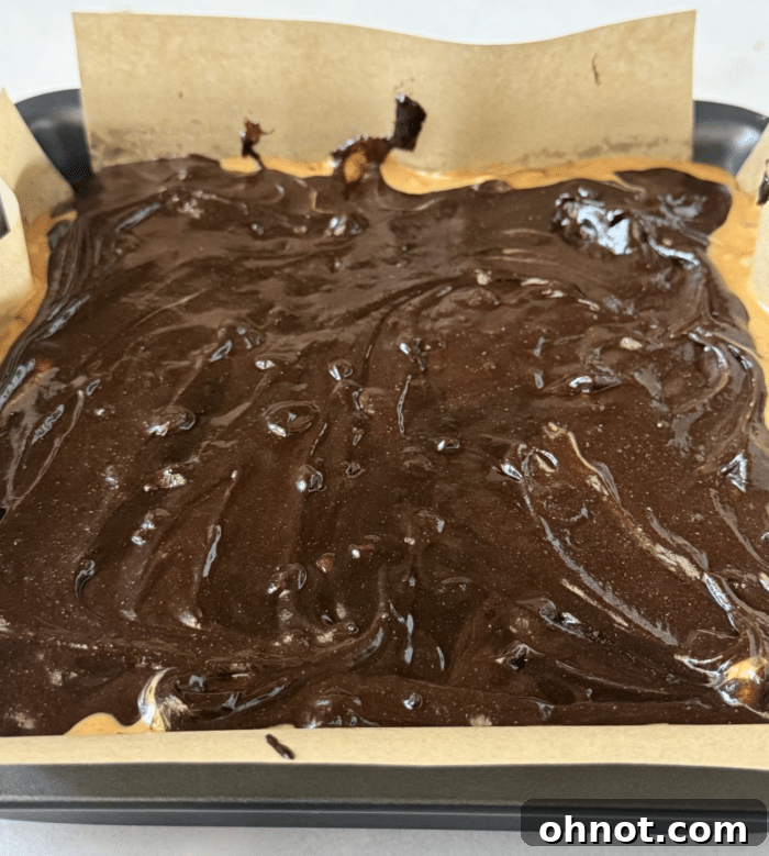 Chocolate brownie batter with scattered peanuts
