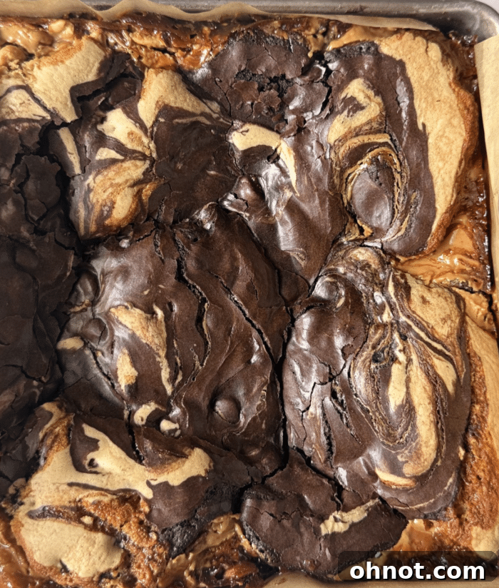 Close-up of Snickers Brookie with visible layers of chocolate, caramel, and peanuts.