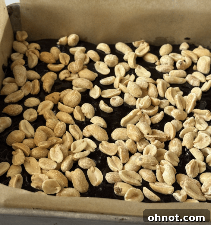 Roasted peanuts, a key ingredient for Snickers Brookies, in a metal baking pan.