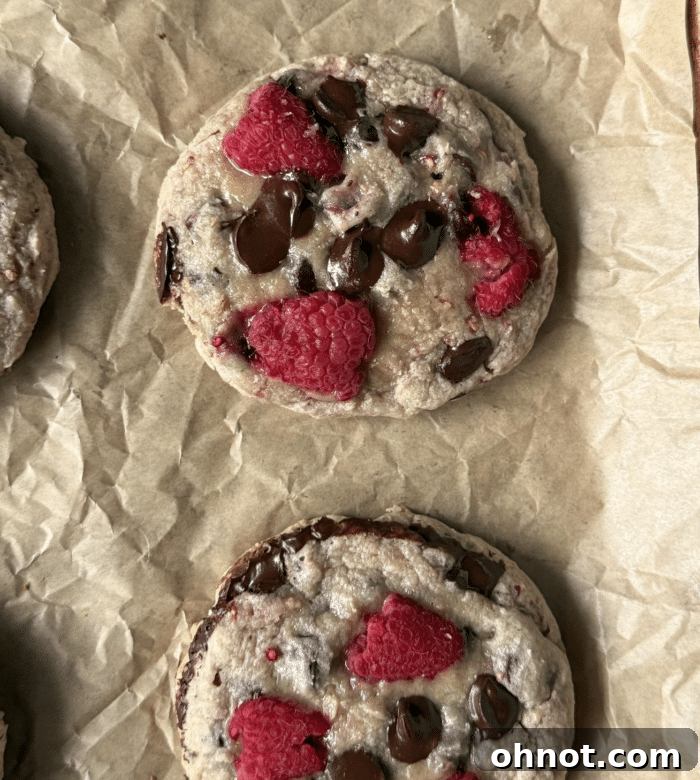 A baking pan filled with golden-brown raspberry chocolate chip cookies, fresh out of the oven.