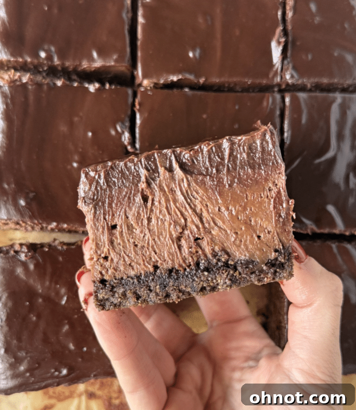 A hand holding a perfectly sliced chocolate cheesecake bar.