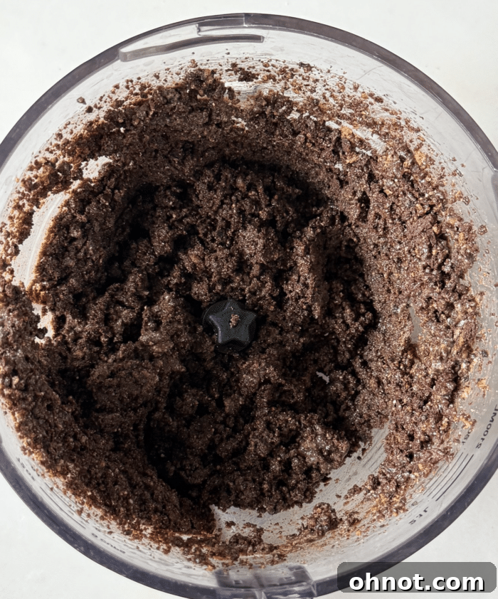 Finely crushed chocolate cookie crumbs mixed with melted butter in a food processor, ready for the crust.