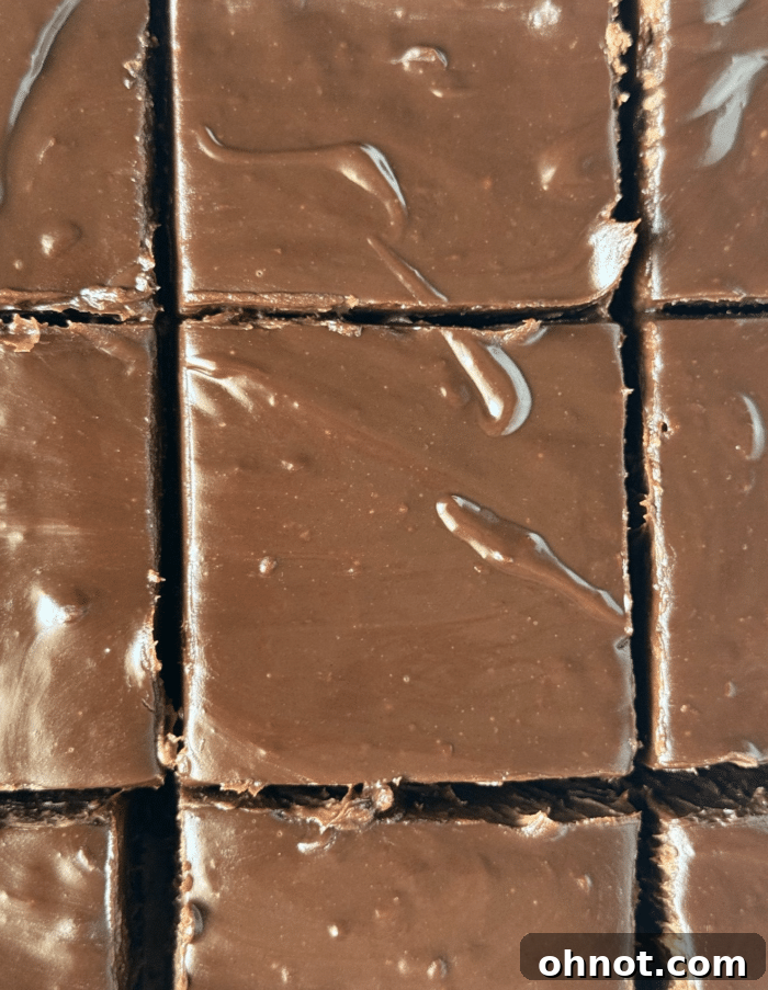 Perfectly sliced chocolate cheesecake bars, showcasing the distinct layers of crust, filling, and ganache.