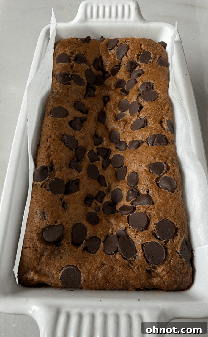 A baked chocolate chip loaf, golden brown on top, cooling on a wire rack.