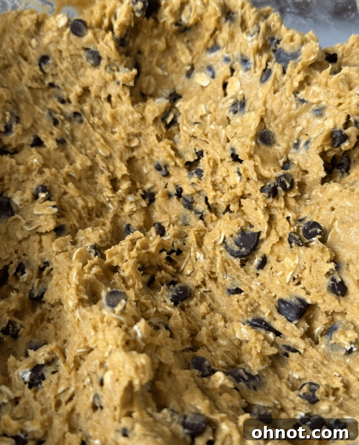 Cookie dough with chocolate chips.