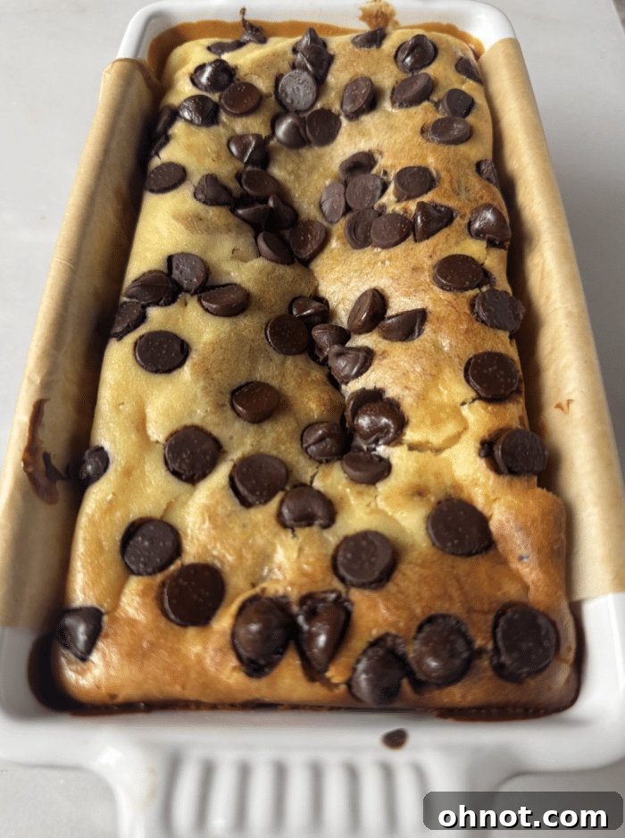 A beautifully baked loaf of cheesecake banana bread with a golden-brown crust and visible chocolate chips.